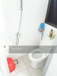 The Inflora (D17), Condominium #153356882